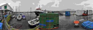Harbour Topographical & Bathymetric Survey