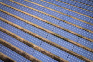 Row of solar panels in farm
