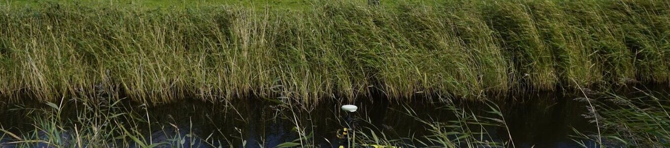 Flood Plain and River survey